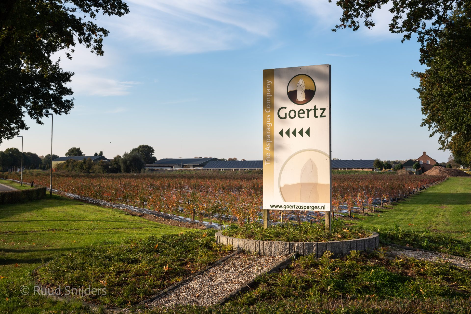 Goertz-9141
